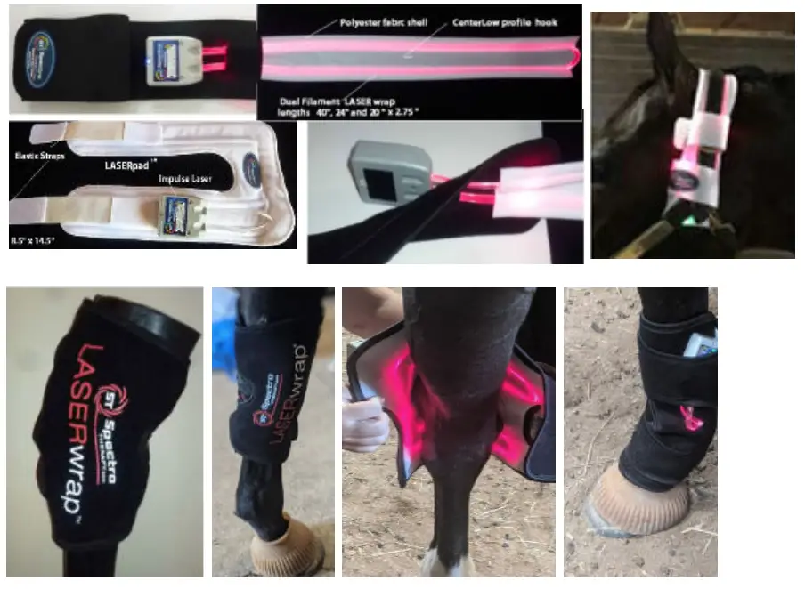 Spectra THERAPY Equine ST Laser Blanket - Vascular 1