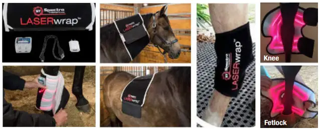 Spectra THERAPY Equine ST Laser Blanket - joints