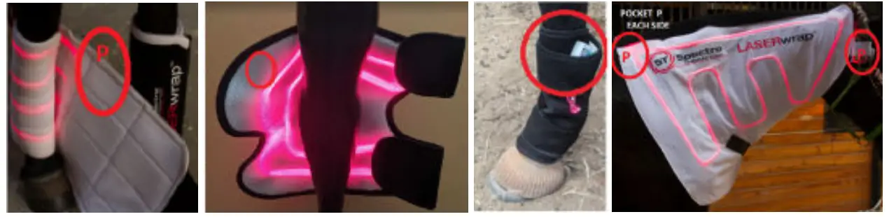 Spectra THERAPY Equine ST Laser Blanket - joints4