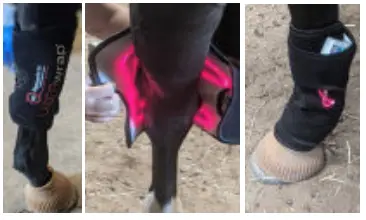 Spectra THERAPY Equine ST Laser Blanket - joints7