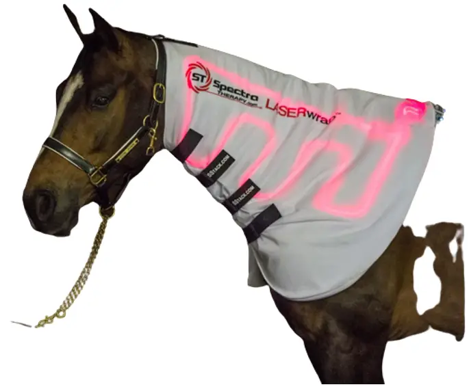 Spectra THERAPY Equine ST Laser Blanket