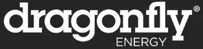 dragonfly-logo
