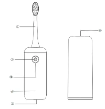Fairywill-T9-Sonic-Electric-Toothbrush-fig-1