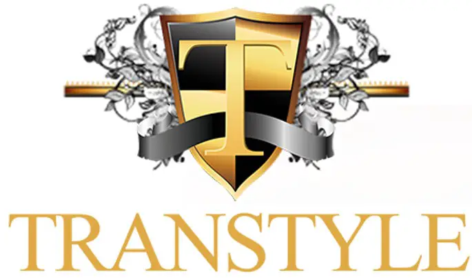 TRANSTYLE logo