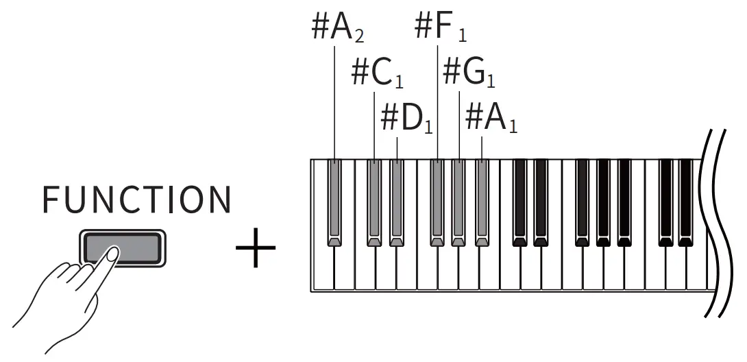 DONNER DDP 200 88 Keys Digital Piano - FUNCTION 2