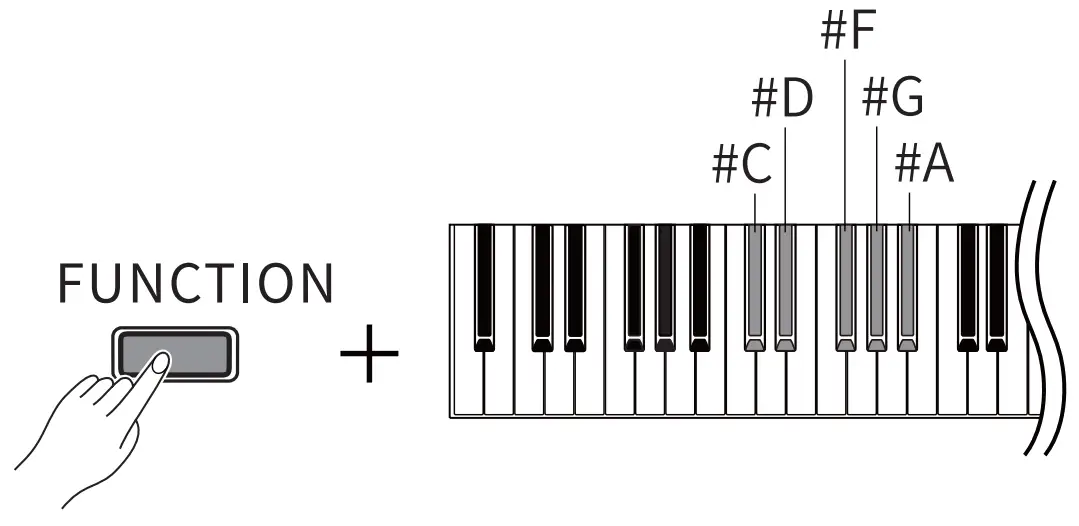DONNER DDP 200 88 Keys Digital Piano - FUNCTION 3