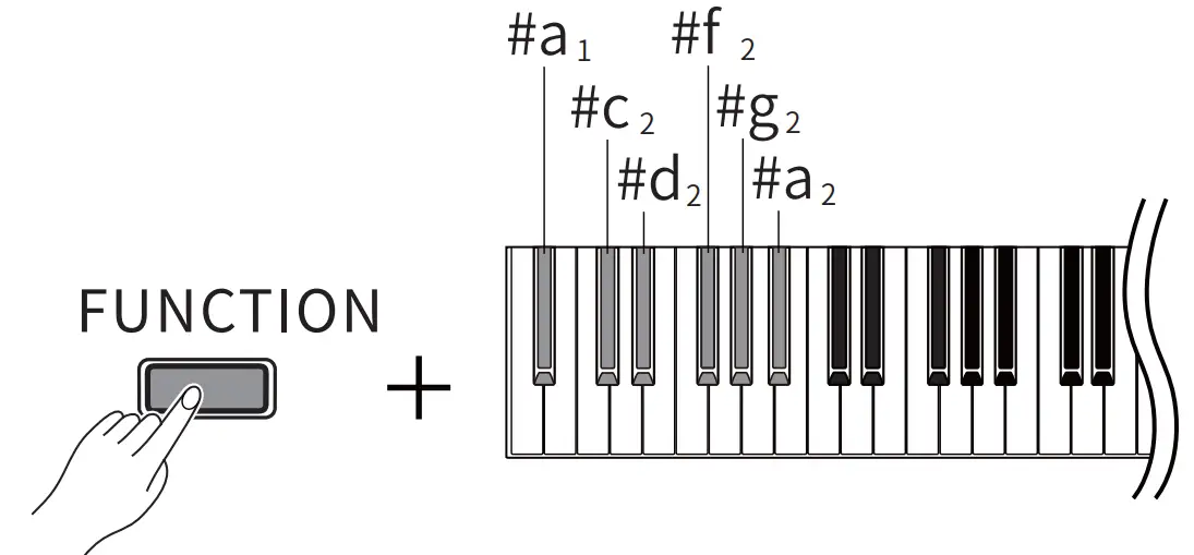 DONNER DDP 200 88 Keys Digital Piano - FUNCTION 4