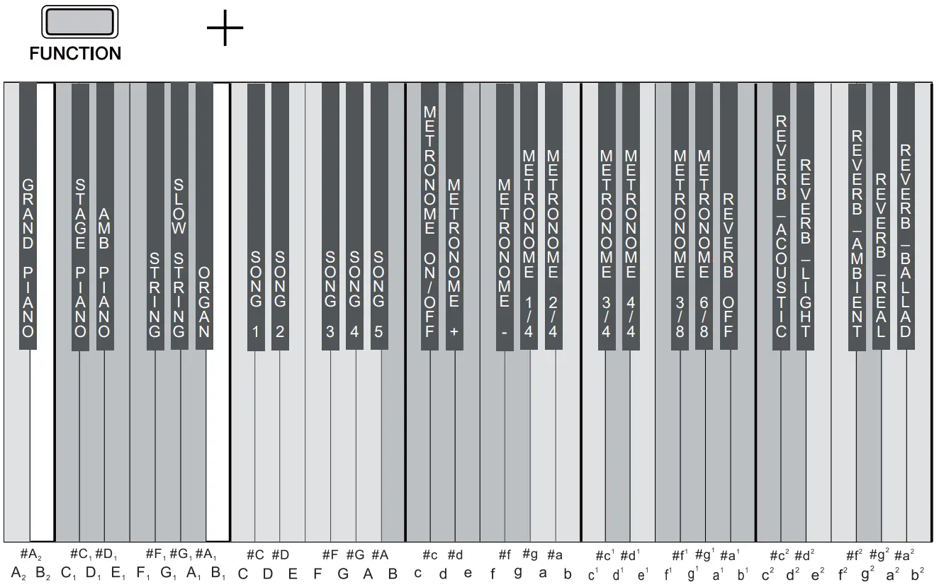 DONNER DDP 200 88 Keys Digital Piano - FUNCTION