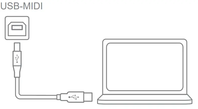 DONNER DDP 200 88 Keys Digital Piano - USB