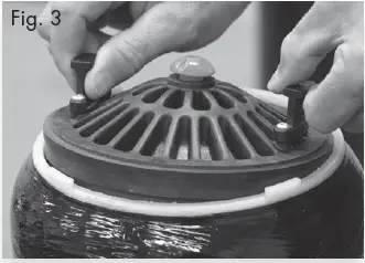 WATTS ONE Cartridge Tank Filter System 19