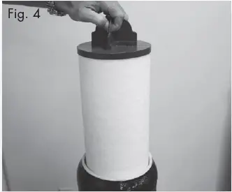 WATTS ONE Cartridge Tank Filter System 20