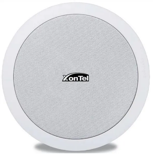 XT-20BA Active Bluetooth TWS Ceiling Speaker UHF Microphone
