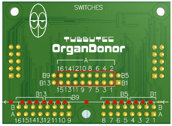 OrganDonor Crumar Performer - fig 1