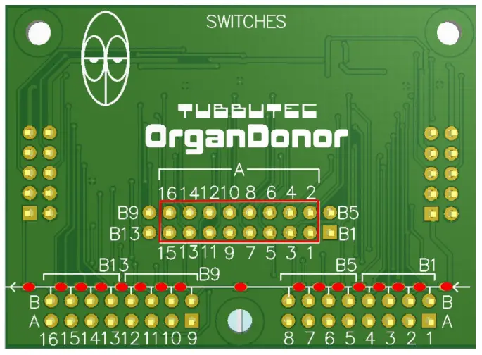 OrganDonor Crumar Performer - fig 2