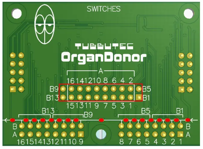OrganDonor Crumar Performer - fig 3