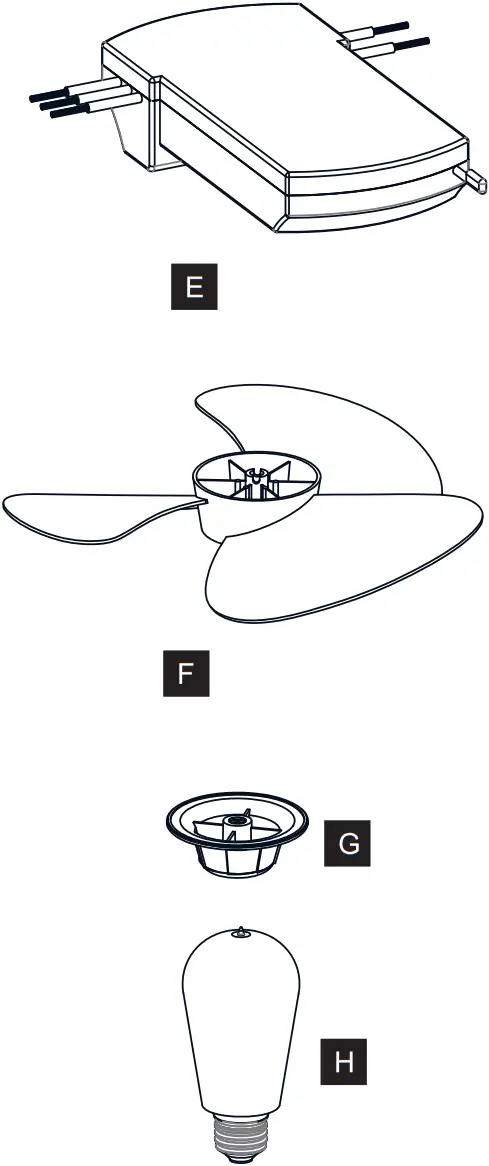 QUOIZEL FTS3124EK - PACKAGE CONTENTS 2