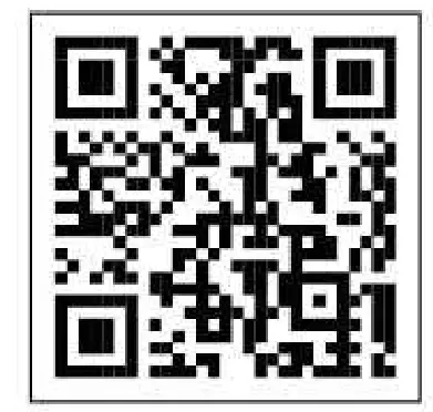 BLAUPUNKT 5DS99770 Island Hood - qr 2