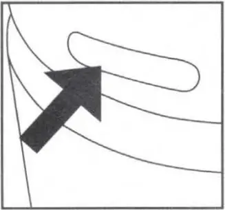 HoMEDICS AP-T20 - ADDING ESSENTIAL OILS 1