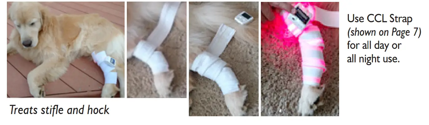 Spectra THERAPY Canine Dog Coat - Charge Connecto7