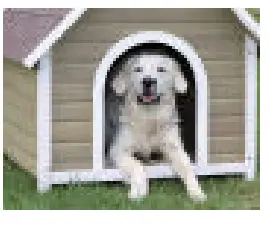 Spectra THERAPY Canine Dog Coat - Charge Connector2