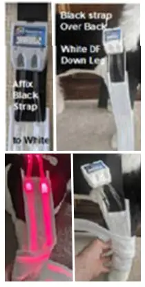 Spectra THERAPY Canine Dog Coat - LASERwrap3