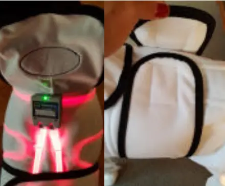 Spectra THERAPY Canine Dog Coat -overall body laser