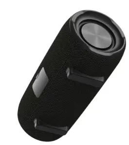 ROYQUEEN-G300-Bluetooth-Speaker-Product-image