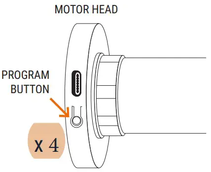 SelectBlinds Essence Collection Cordless Blackout Roller Shades - fig 31