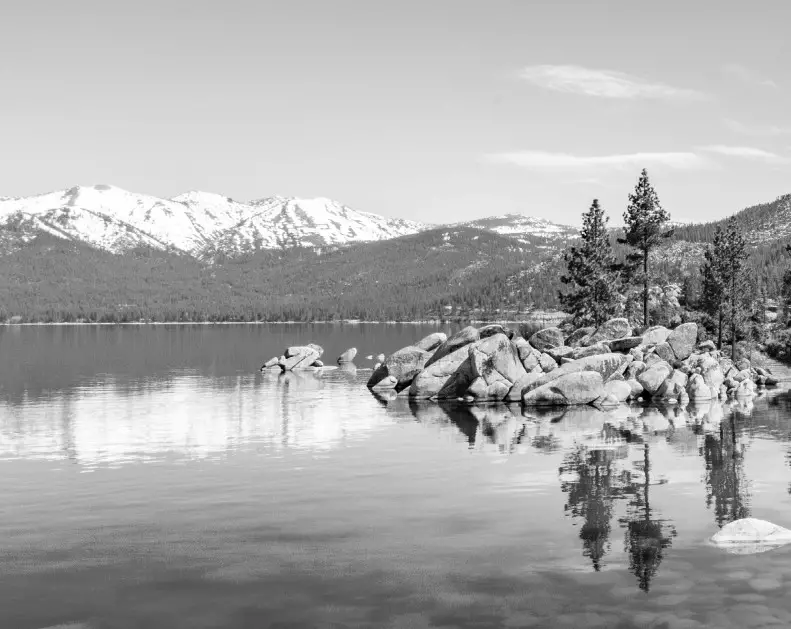 ZLINE Refrigerator with Water Dispenser - fig 1.