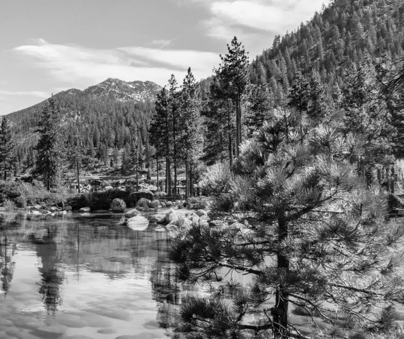 ZLINE Refrigerator with Water Dispenser - fig 2