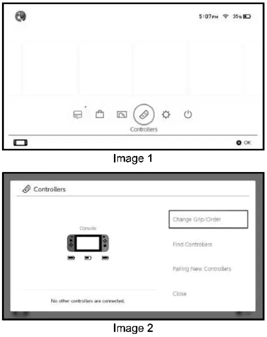 VOYEE Wireless Controller for NS - Connection