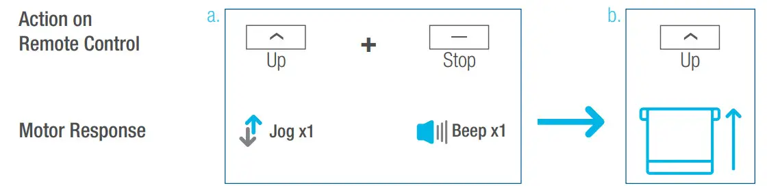 SelectBlinds RF 2W 15 Channel Remote Control - Adjust