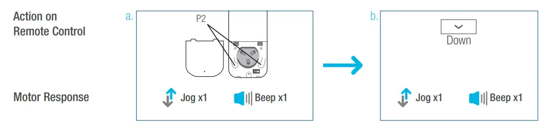 SelectBlinds RF 2W 15 Channel Remote Control - Down