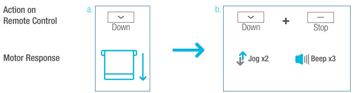 SelectBlinds RF 2W 15 Channel Remote Control - Down