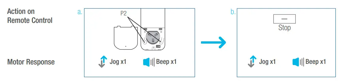 SelectBlinds RF 2W 15 Channel Remote Control - Favorite