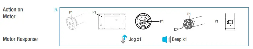 SelectBlinds RF 2W 15 Channel Remote Control - Initial