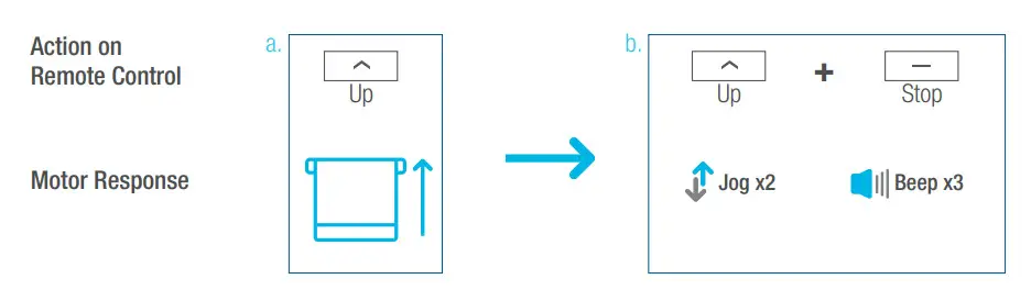 SelectBlinds RF 2W 15 Channel Remote Control - Lower