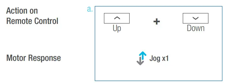 SelectBlinds RF 2W 15 Channel Remote Control - Motor Response 1
