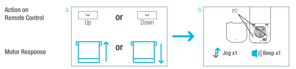 SelectBlinds RF 2W 15 Channel Remote Control - Position