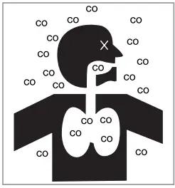 IPEX System 1738 Venting Systems Gas Burning-FIG2
