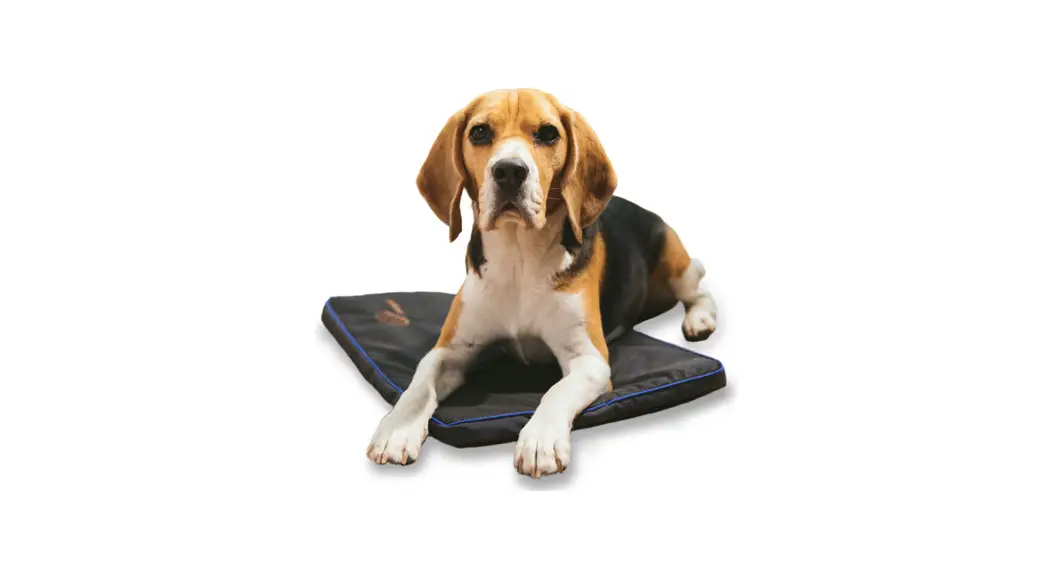 Petspemf Pad For Dogs User Manual
