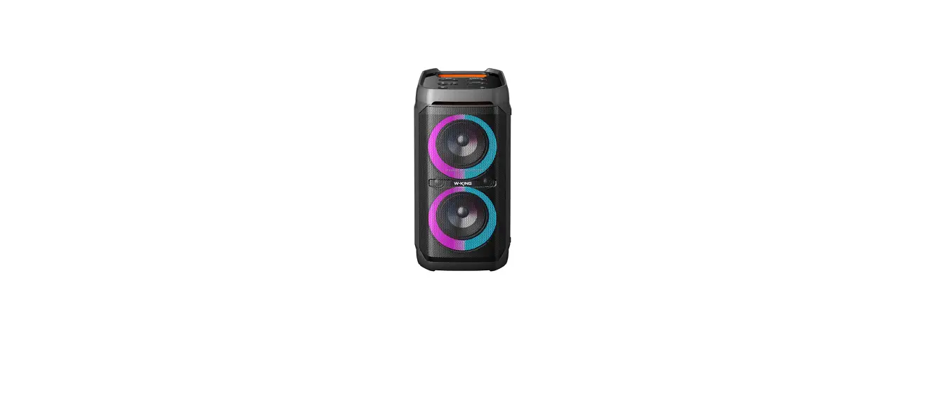 W-king T11 Portable Party Speaker User Manual