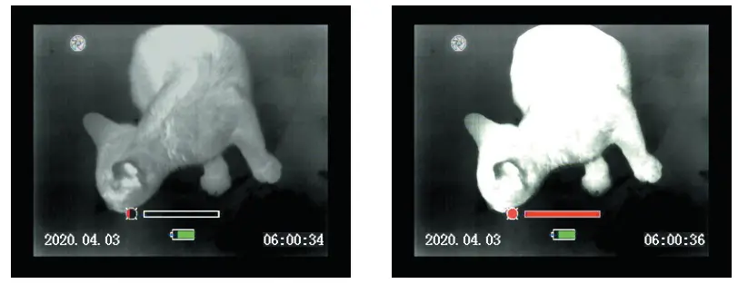 NITEHOG Viper 50 Next Dual Thermal Imaging Device - Fig 8