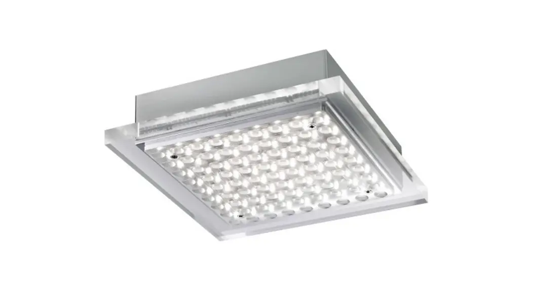 Paul Neuhaus 6032-55 Q-vidal Ceiling Light Instruction Manual Paul Neuhaus 6032-55 Q-vidal Ceiling Light Instruction Manual