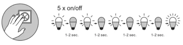 Paul Neuhaus 6032-55 Q-Vidal Ceiling Light - icon3