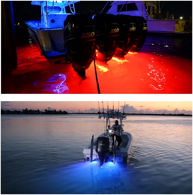 OceanLED X Series X8 Underwater LED Light Flush mount - EXAMPLE PHOTOGRAPHY
