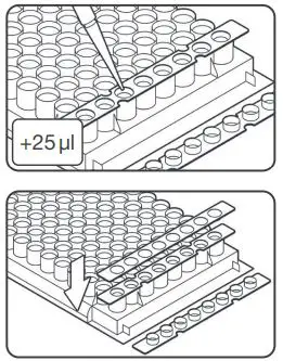 hygiena-KIT-2300 77-STEC-Screening-LyoKit-4