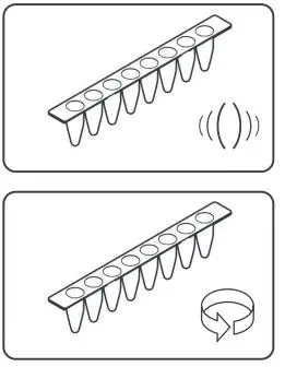 hygiena-KIT-2300 77-STEC-Screening-LyoKit-5