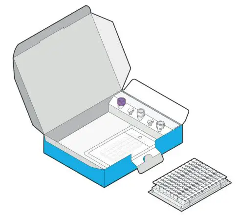 hygiena-KIT-2300 77-STEC-Screening-LyoKit
