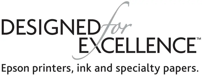 EPSON WF C5310 Network Multifunction Color Printer - DESIGN